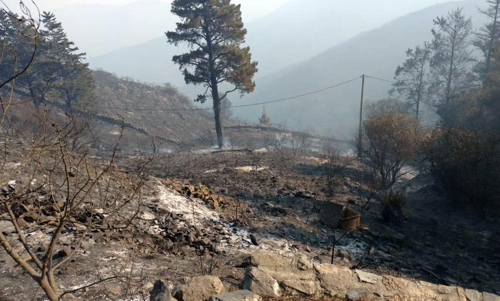 incendios-cordoba(1)_telam