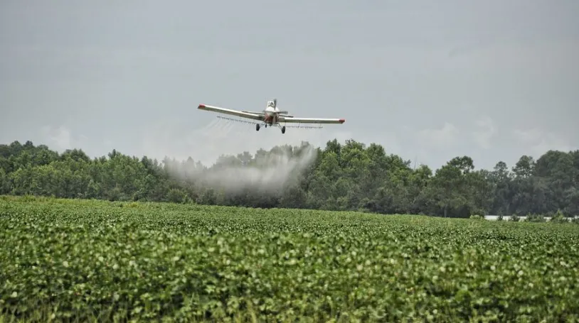 disposición judicial