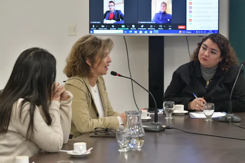 Marcela Hlavach_Vaso-de-Leche_ prensa Legislatura