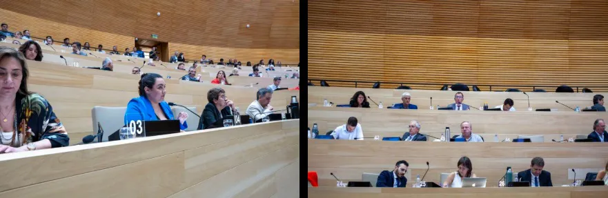 Legislatura Presupuesto Provincial 2025 6