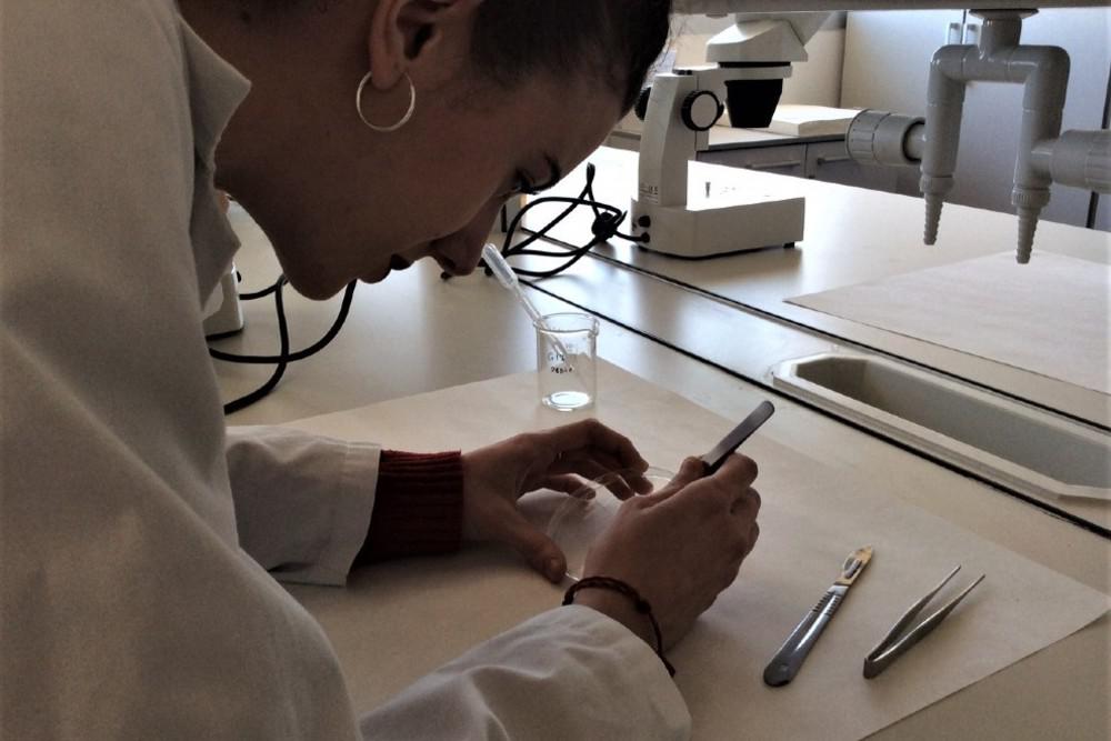 laboratorio (1)