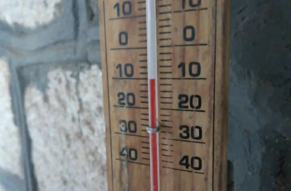frio