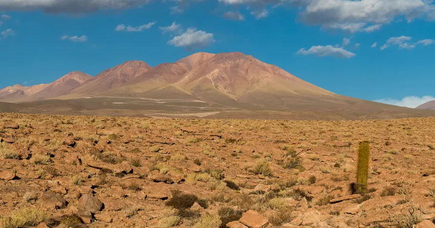desierto de atacama_ gentileza