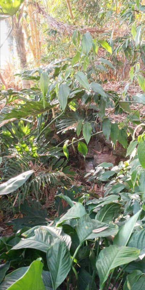 Jardin Botanico CBA 4