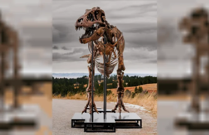 Tiranosaurios rex Gus 3