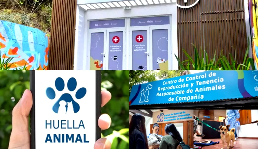 Castraciones y razas peligrosas