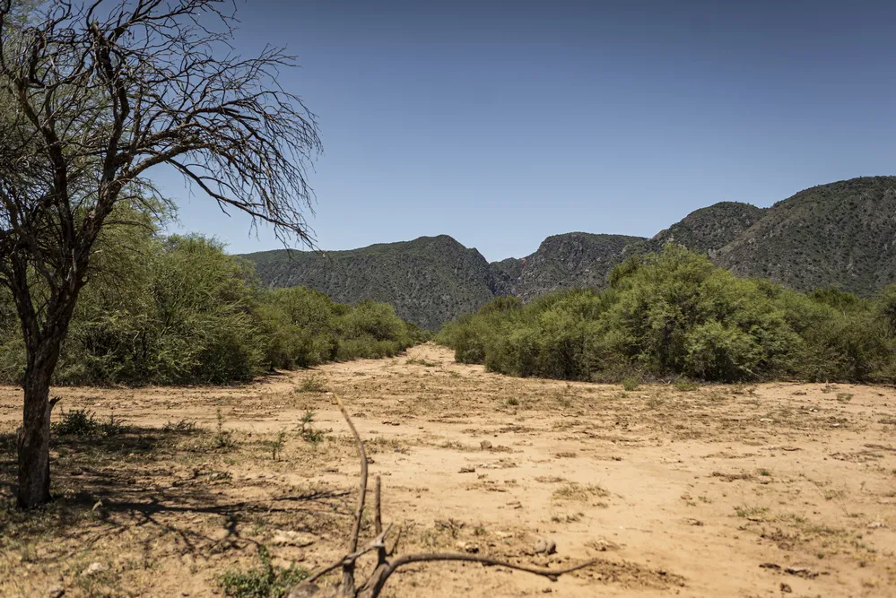 EL OBJETIVO FOTO Parque Nacional Traslasierra - © Parques Nacionales (1)