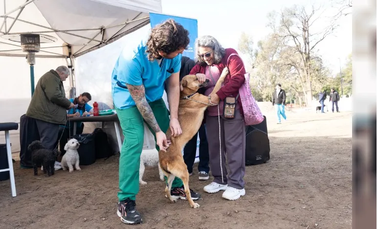 vacunación contra la rabia en córdoba