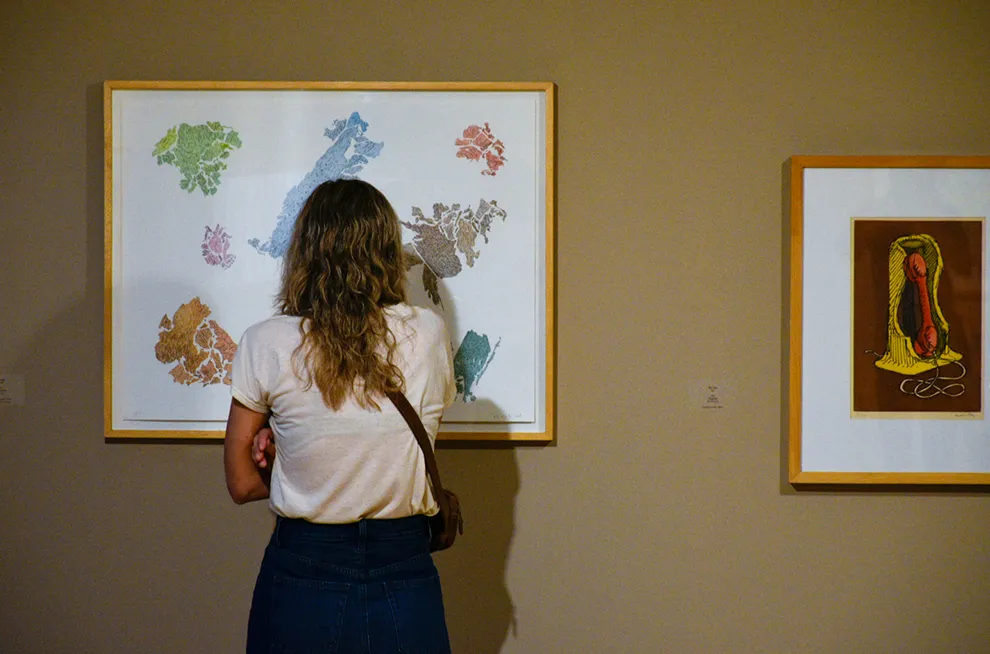 Museo Ferreyra
