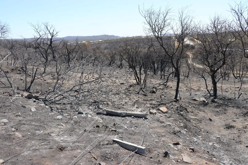 desastre agropecuario por incendios