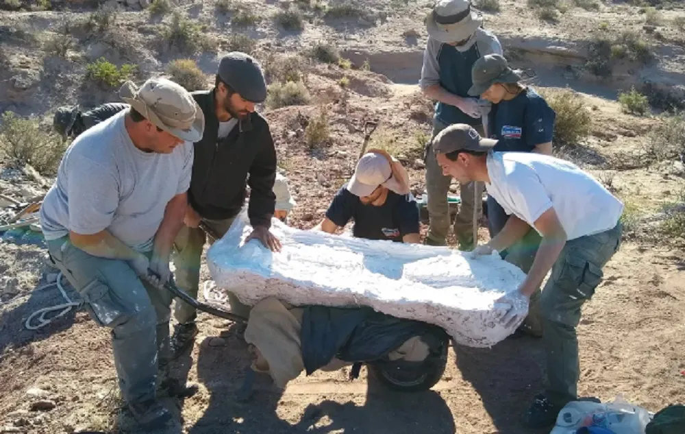 Río Negro un dinosaurio herbívoro