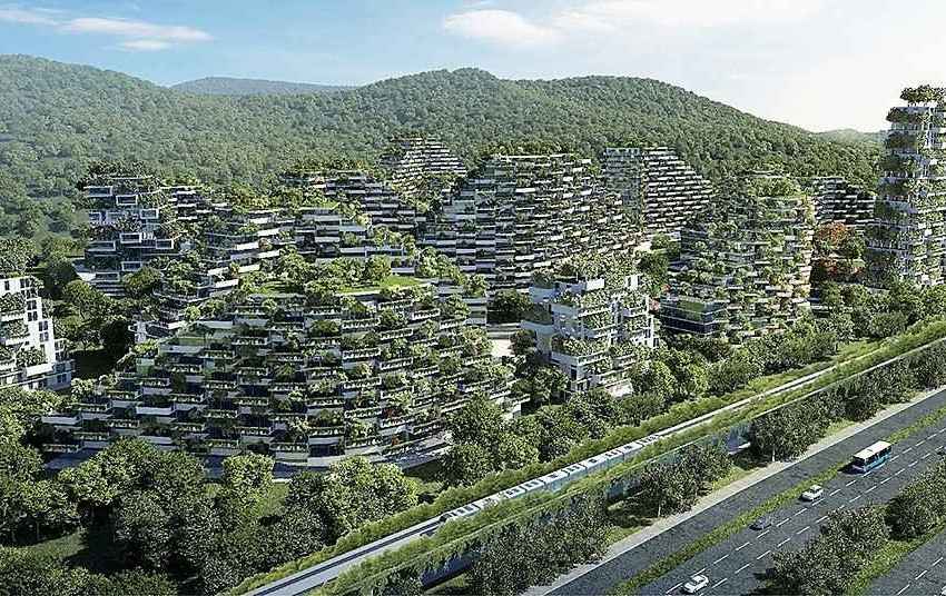 CiudadBosque