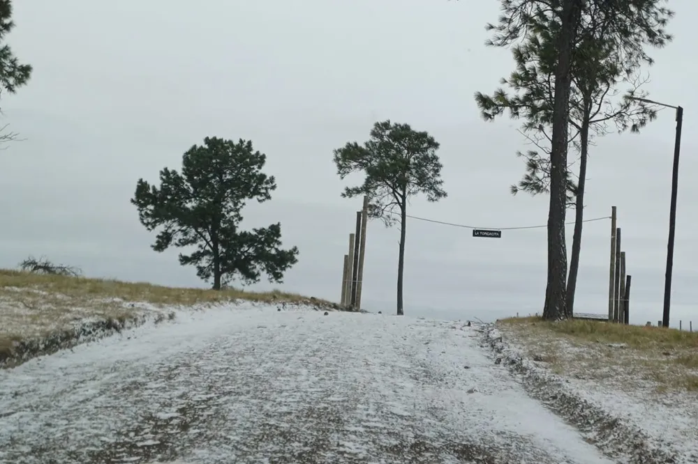 NIEVE