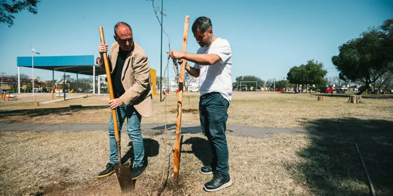 Semana del Árbol