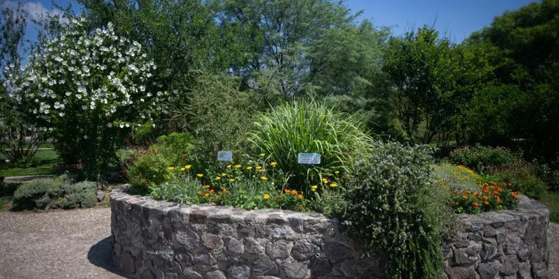 jardín - botánico - aromáticas_ prensa Municipalidad