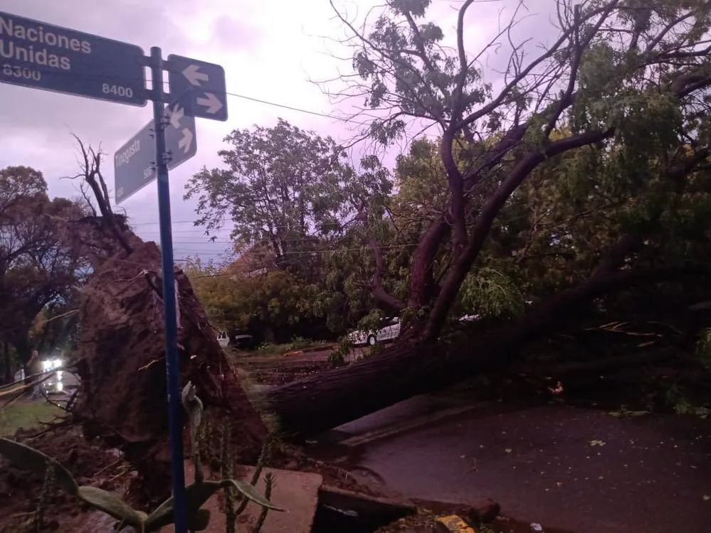 EL OBJETIVO FOTO TORMENTA MENDOZA TWITTER