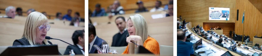 legislatura  Caja de Jubilaciones 4