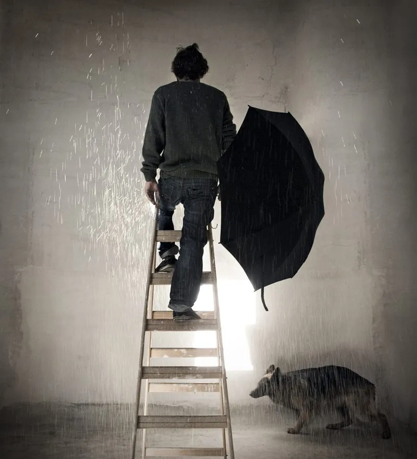 el incendio de las flores