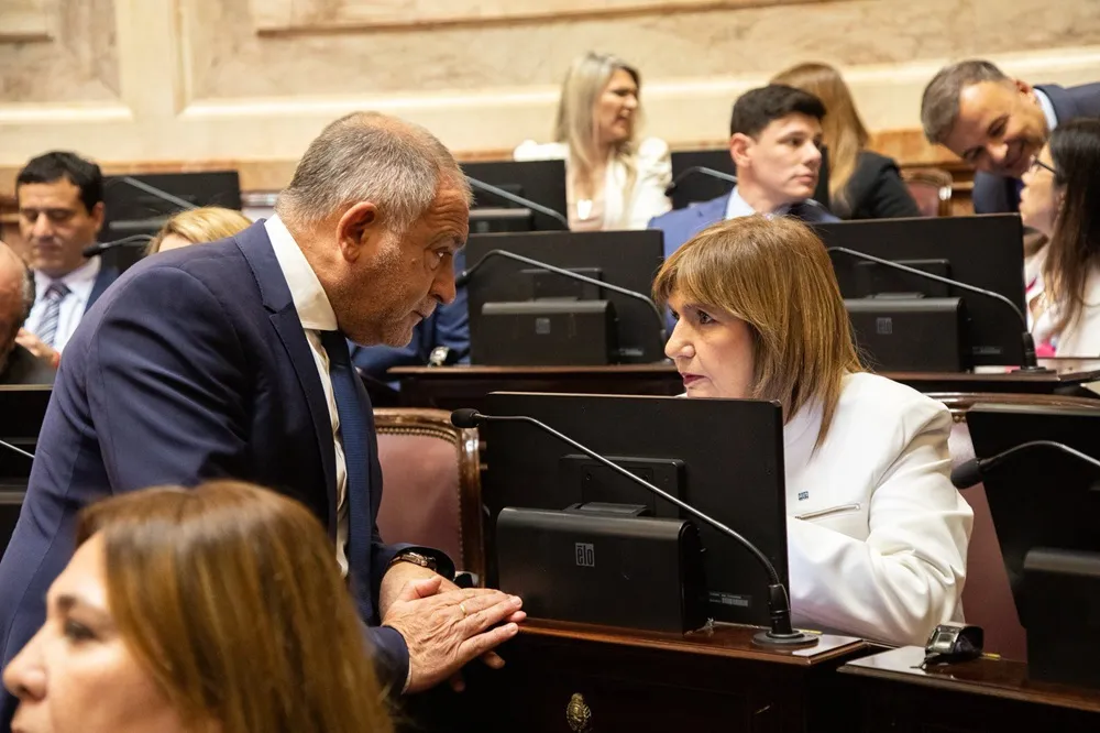 luis juex patricia bullrich