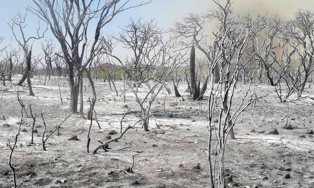 Incendio-Salsacate