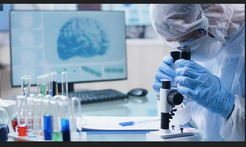 investigacion-ciencia_ NA