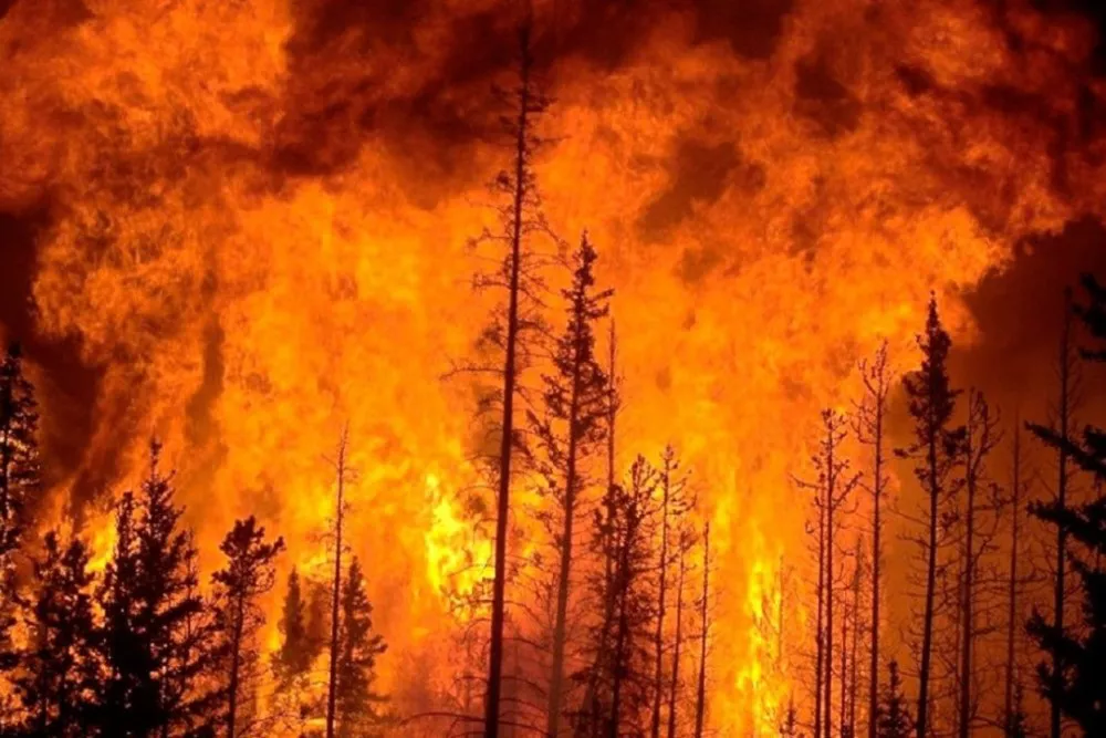 incendios-en-chile