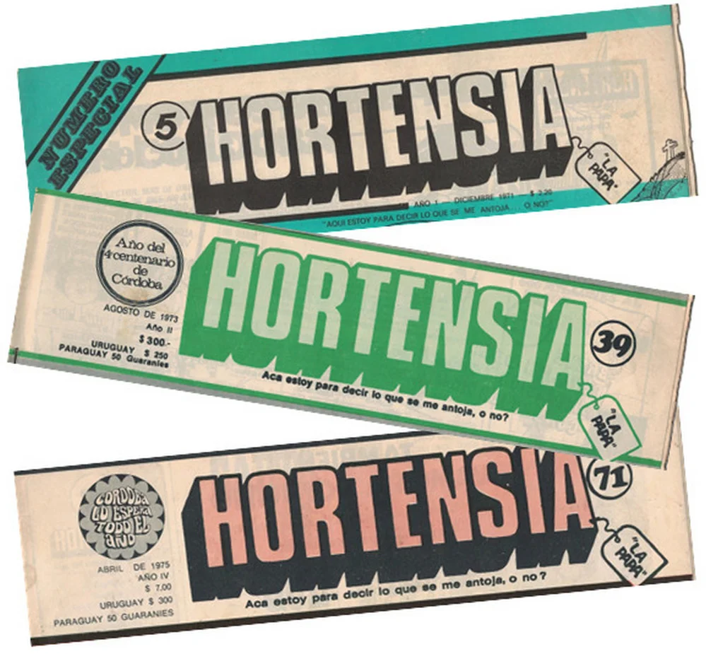 EL OBJETIVO FOTO HORTENSIA