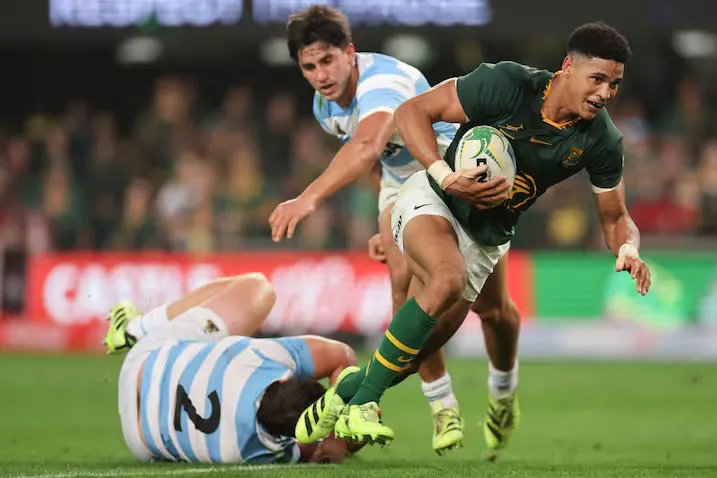 los pumas