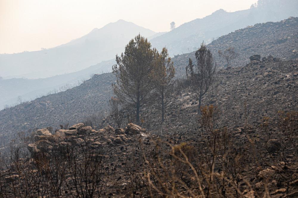 Incendios Cba