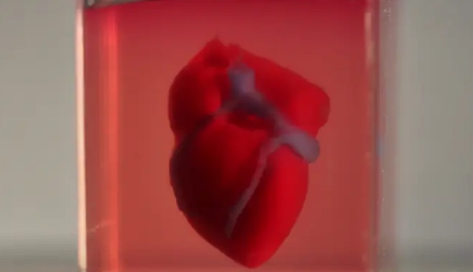 corazón 3D 6