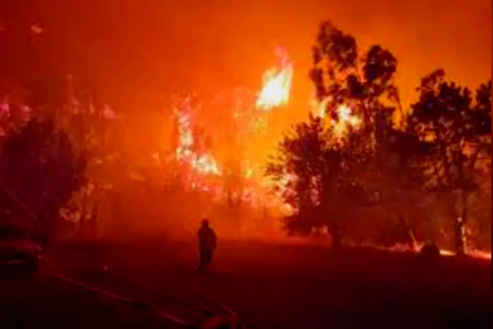Incendio forestal sur de Francia
