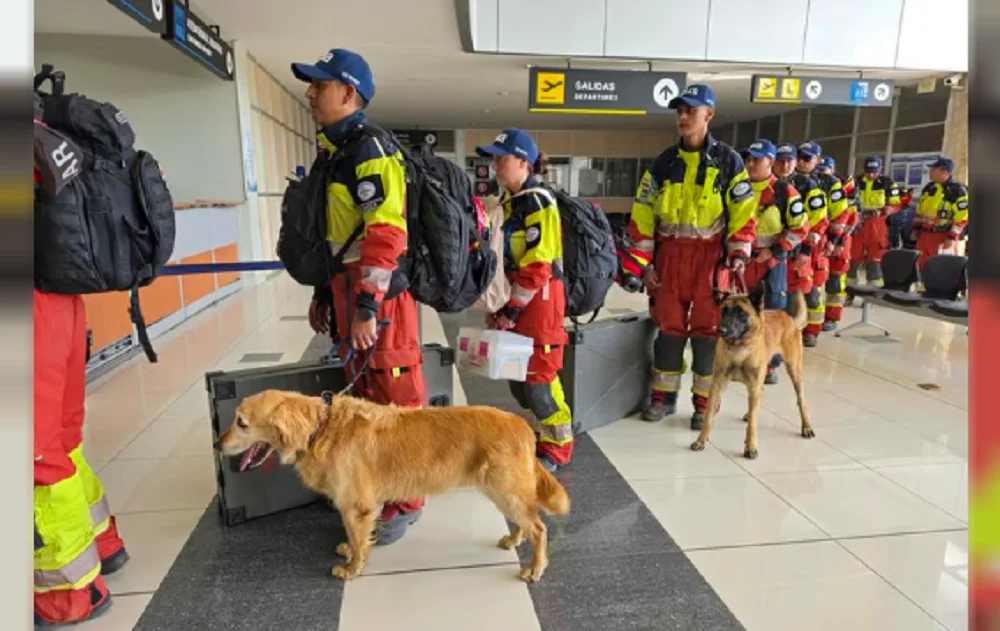 Perros rescatistas