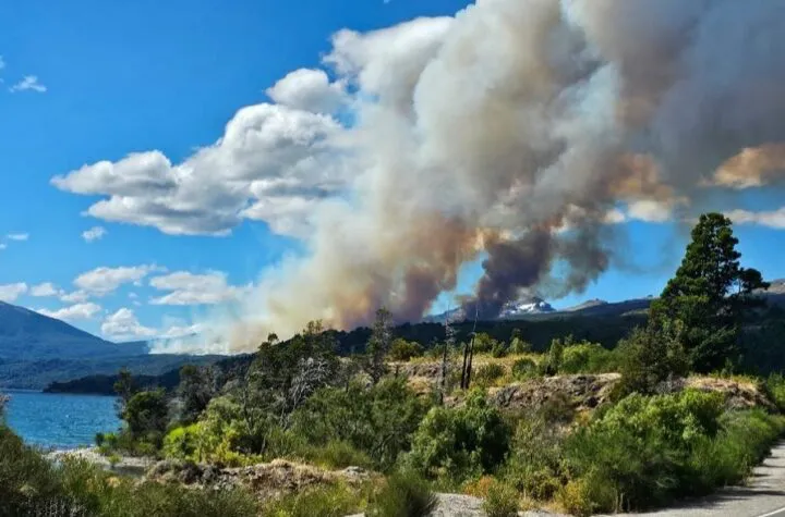 incendio los alerces