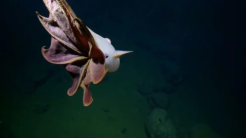 S2HP35UVS5GJNNXBMYIMROH67Y