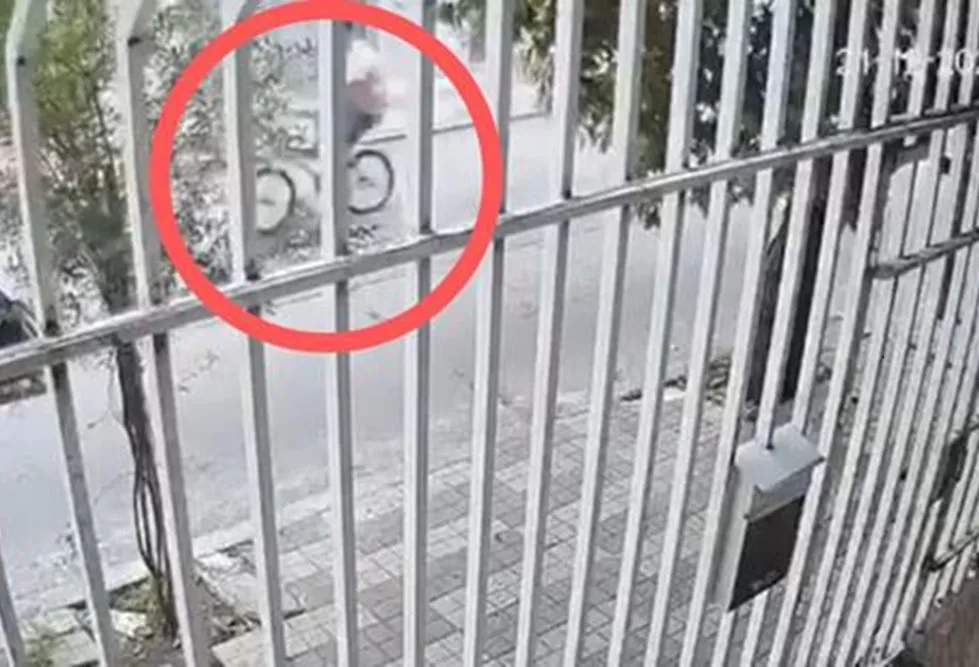 27F45WH7LJAZ7MUGEYWPGERP7Q