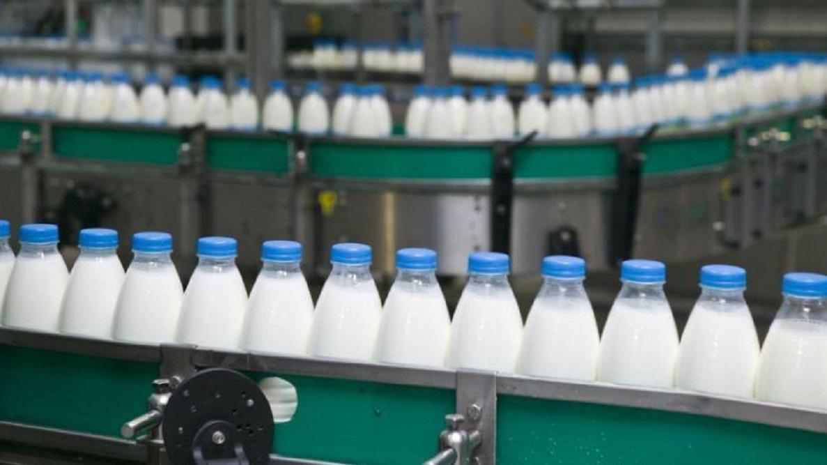 Leche . produccion de leche