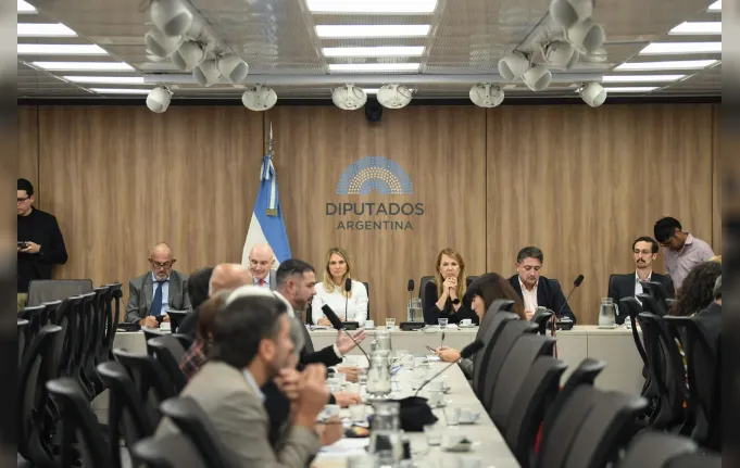 Diputados  Baja de la edad de imputabilidad