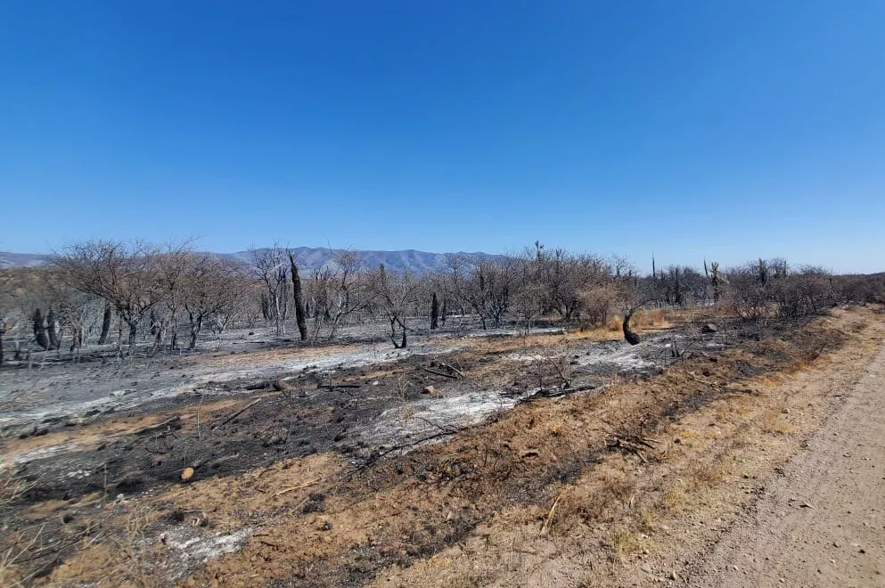 No habría focos activos córdoba