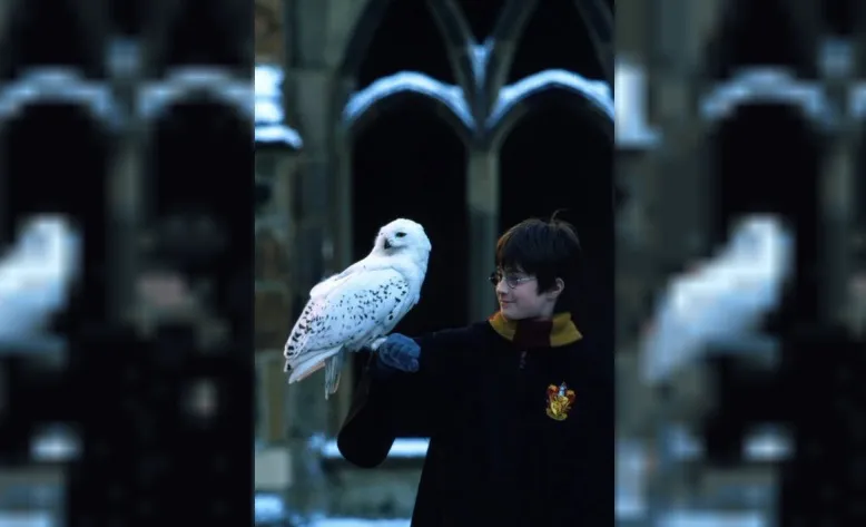 Harry Potter
