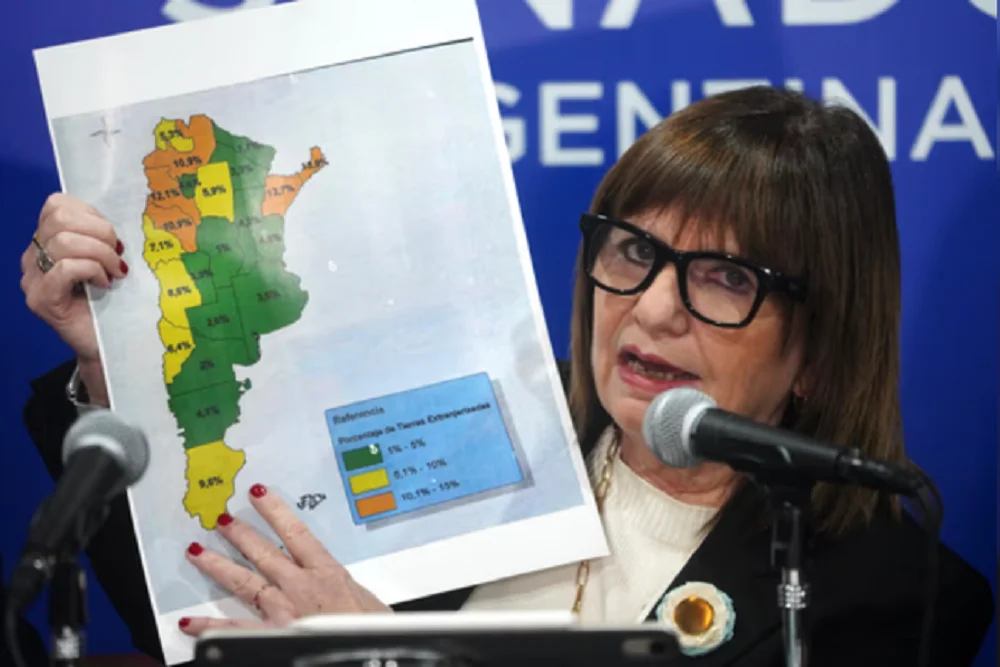 Bullrich en el Senado