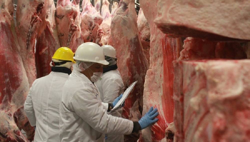 La Aduana estableció valores de referencia para la exportación de carne vacuna