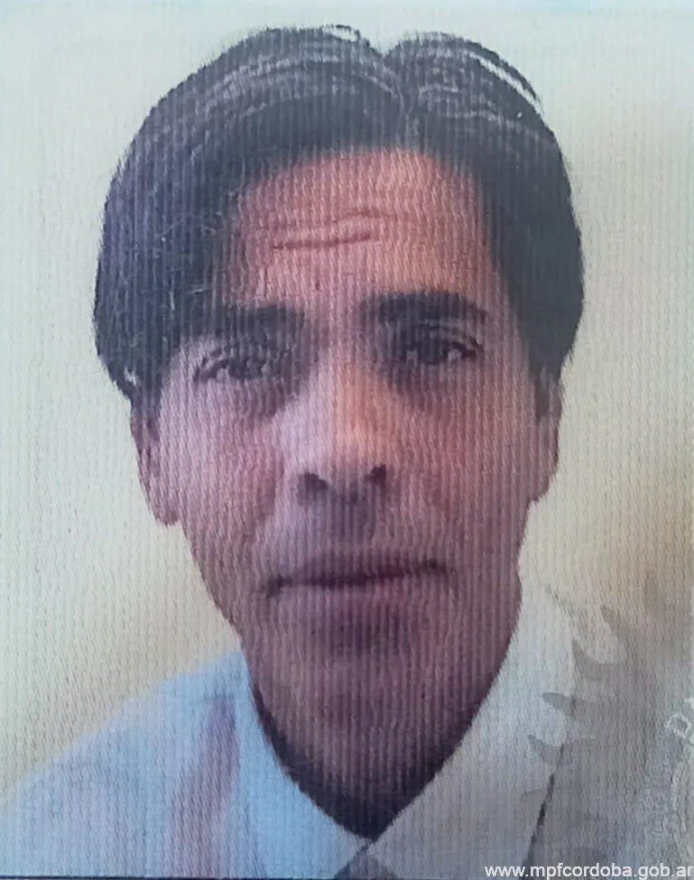 búsqueda