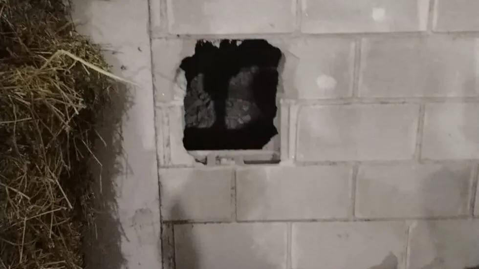 inseguridad