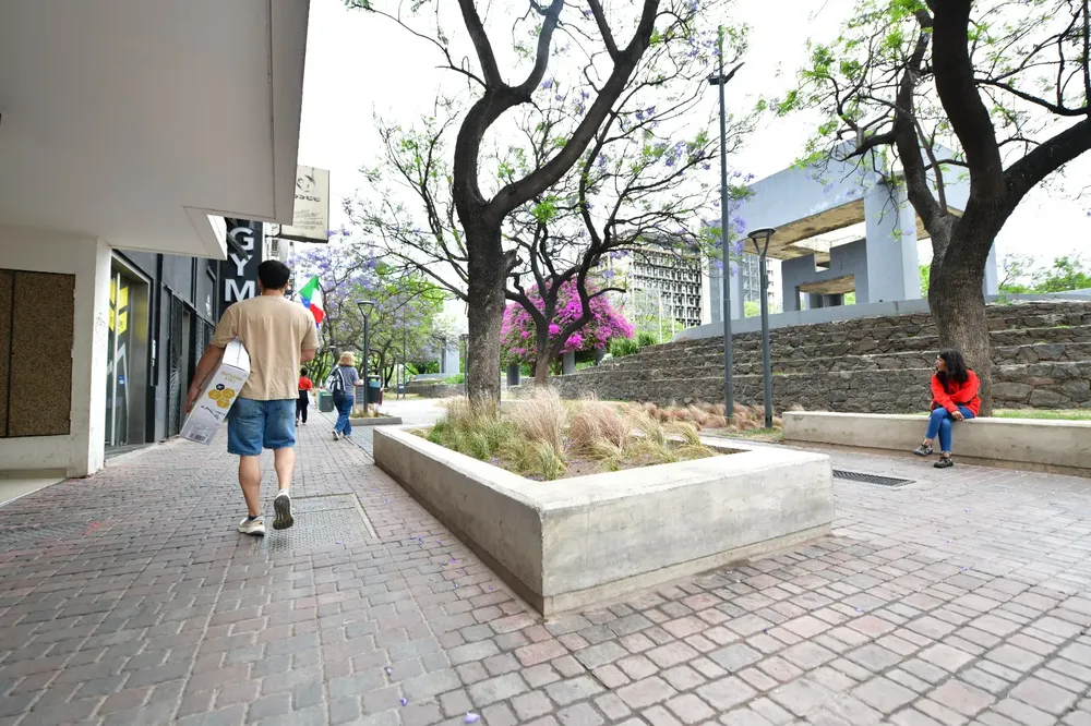 La nueva Peatonal Ayacucho