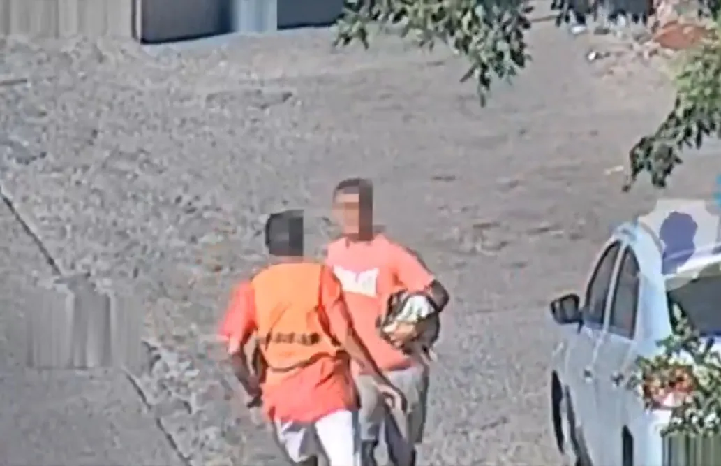 Captura de pantalla (648)