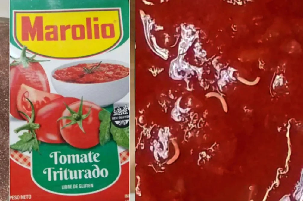 Tomate Marolio gusanos