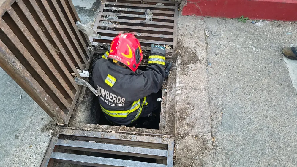 rescate