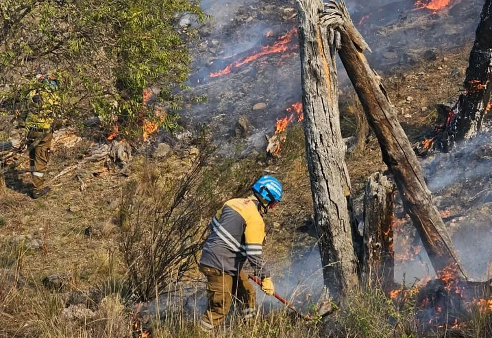 incendio2
