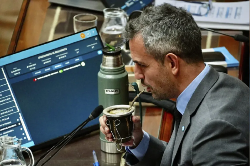 Diputados Martín Menem