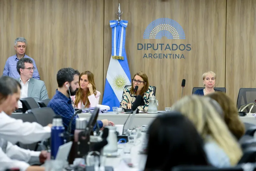 comisión-investigadora-fentanilo_ Prensa diputados NA